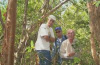 Surveyors Hugh, Cantrell and Wallace
